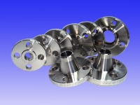 SS 316L Flanges from KALIKUND STEEL & ENGG. CO.
