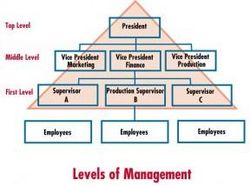 Introduction to Management 