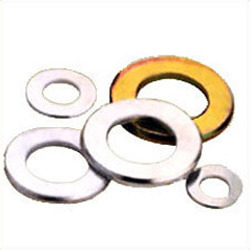 Stainless Steel Washer from RAJSHREE OVERSEAS