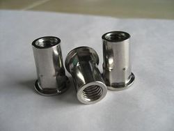 Stainless Steel 304L Class 3000 Insert from JAYANT IMPEX PVT. LTD