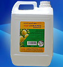 CITRUS PINE DISINFECTANT  from CHEMEX CHEMICAL AND HYGIENE PRODUCTS L.L.C