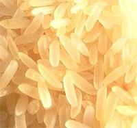 Parboiled Rice PR-11 in qatar from FEROZEPUR FOODS PVT. LTD.