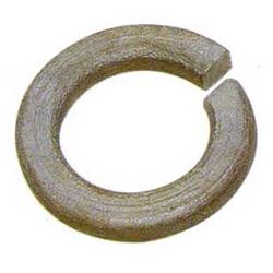 Inconel Spring  Washer   from ARIHANT STEEL CENTRE