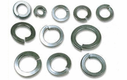 Alloy 20 Spring  Washer   from ARIHANT STEEL CENTRE