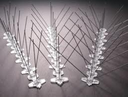 Bird Spikes from BENCHMARK PEST CONTROL & CLEANING SERVICES &TRADING LLC