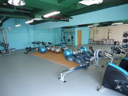 GYM, PVC and Rubber flooring