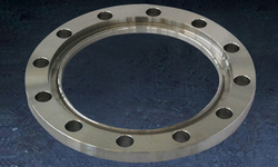 DIN 1.4401 Flanges from UNICORN STEEL INDIA 