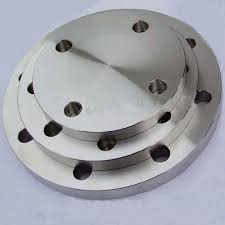 Stainless Steel 316 Plate Flanges from KALIKUND STEEL & ENGG. CO.