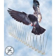 ANTI BIRD PIGEON REPELLENT SPIKES  from CHAMPIONS ENERGY