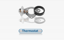 Thermostats from GENUINE PARTS INTERNATIONAL