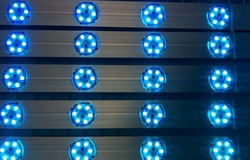 LED POINT LIGHT SUPPLIER IN UAE