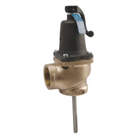 APOLLO T & P Relief Valve, FNPT in uae from WORLD WIDE DISTRIBUTION FZE