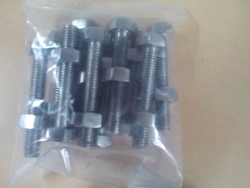SS 310 Bolts, Nuts and Washer