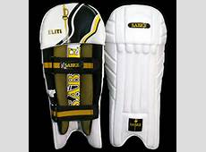 safety cricket pads 