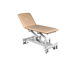 Electrical VARIABLE HEIGHT 2 SECTION COUCH from AJIL SCIENTIFIC & MEDICAL SUPPLIES