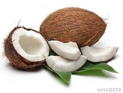 Coconuts and Coconut Related From India from AZIRA INTERNATIONAL