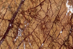 Rain Forest Golden marble