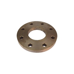  Steel Plate Flanges from NANDINI STEEL