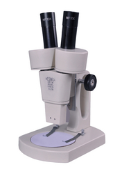 Stereoscopic Microscope
