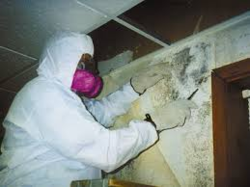 Mold Remediation UAE, DUBAI from PINK CIRCLE TECHNICAL SERVICES LLC