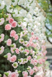 Wedding Mandap Flowers Dubai