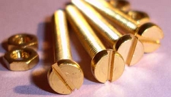 Brass bolt suppliers dubai from FRONTLINE BUILDING MATERIALS TRADING CO LLC