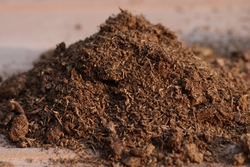 PEAT MOSS IN ABU DHABI