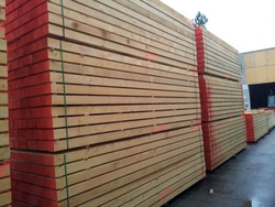 WHITE WOOD SUPPLIERS IN UAE
