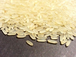 IR 64 Parboiled Rice from WINNING STAR TRADING FZC