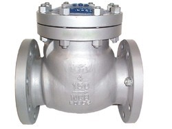 Check Valves from PARASMANI ENGINEERS INDIA