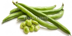 Fresh Green Beans from ESSAAR EXPORTS