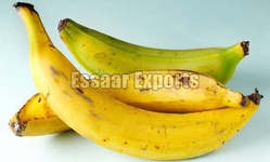 Fresh Plantain Banana from ESSAAR EXPORTS