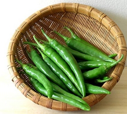 Fresh Green Chilli from ESSAAR EXPORTS
