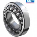 SKF bearings Sharjah