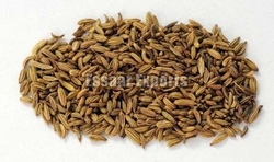 Fennel Seeds from ESSAAR EXPORTS