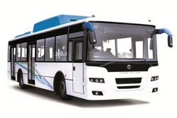 Bus Rental