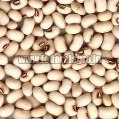 Black Eyed Beans from FEDERAL AGRO COMMODITIES EXCHANGE & SUPPLY CO.