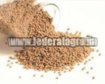 Millet Seeds from FEDERAL AGRO COMMODITIES EXCHANGE & SUPPLY CO.