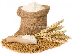 Wheat Flour from FEDERAL AGRO COMMODITIES EXCHANGE & SUPPLY CO.