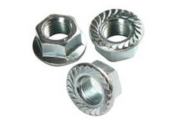 Hexagon Flange Nut from BUILDING MATERIALS TRADING