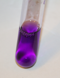 Crystal Violet for Microscopy