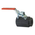 DYNAQUIP CONTROLS Carbon Steel Inline Ball Valve from WORLD WIDE DISTRIBUTION FZE