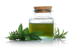 Peppermint Oil Pure