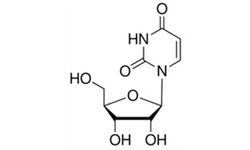 Uridine for Biochemistry