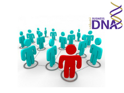 Human Capital Management Software from BUSINESS DNA L.L.C. - MEMBER OF  NCC GROUP OF CO