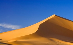 DUNE SAND SUPPLIER IN U.A.E