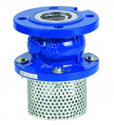 FOOT VALVE from BRIGHT FUTURE INT. SANITARYWARE TRADING