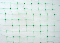 Anti-bird Net