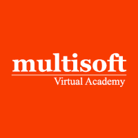 Professional Training Programs from MULTISOFT VIRTUAL ACADEMY 