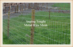 Galvanized Kraal Mesh Fence/Grasslanf Fence/Fence Mesh from ANPING TENGLU METAL WIRE MESH CO.LTD. 
